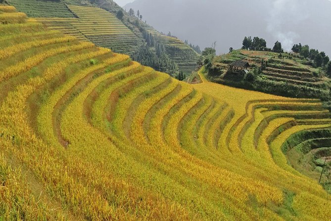 2 Day Longsheng Hot Spring Private Tour Combo Package - Tour Overview
