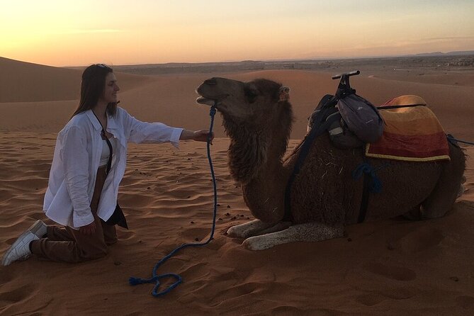 2 Day Luxury Desert Tour From Fes to Fes or Marrakech - Accessibility and Additional Information