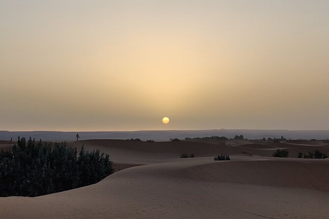 2 Day Luxury Desert Tour From Fes to Fes or Marrakech - Highlights and Features