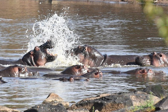 2-Day Maasai Mara Safari - Traveler Information