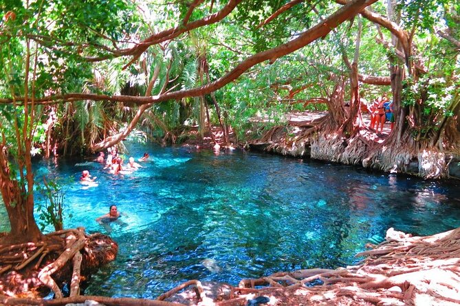 2-Day Masai Village Camping Experience and Kikuletwa Hot Spring - Key Points