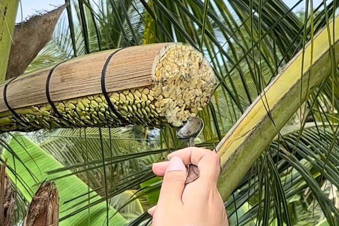 2-Day Mekong Delta Escapade From Ben Tre to Tra Vinh - Highlights and Activities