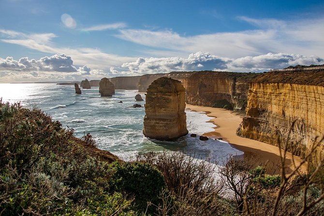 2-Day Melbourne to Adelaide Tour: Great Ocean Road and Grampians One Way Trip - Transportation and Guides