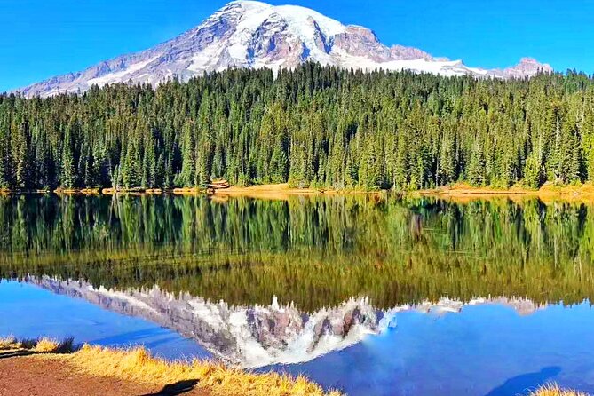2-Day Mount Rainier & Olympic National Parks Tour From Seattle - Key Points