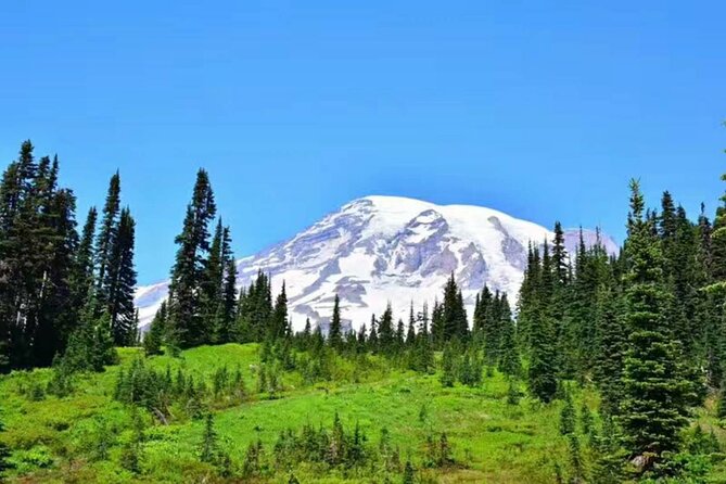 2-Day Mount Rainier & Olympic National Parks Tour From Seattle - Meeting Points and Itinerary Adjustments