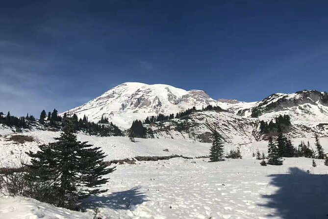 2-Day Mount Rainier & Olympic National Parks Tour From Seattle - Discovering Olympic National Park