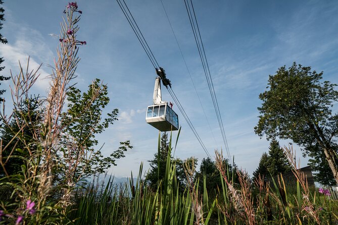 2-Day Mt Rigi Tour From Zurich Including Mineral Baths and Lake Lucerne Cruise - Transportation Details