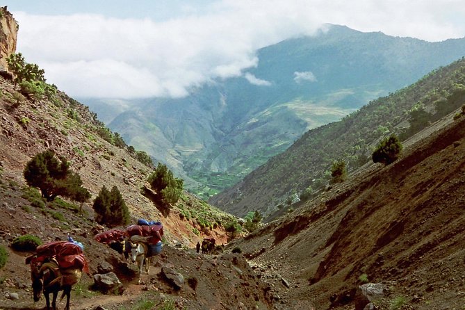 2 Day Mt. Toubkal Trekking Tour From Marrakech - Inclusions and Exclusions