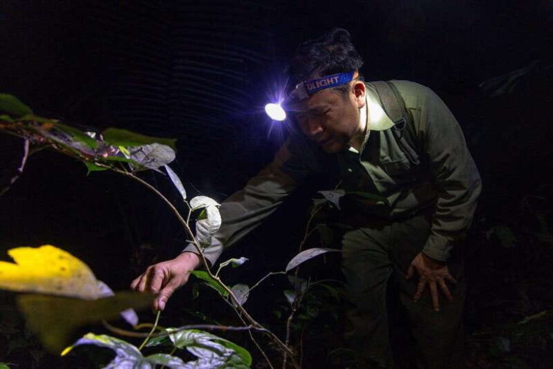 2-Day Ninh Binh - Trang An & Cuc Phuong National Park Tour - Key Points
