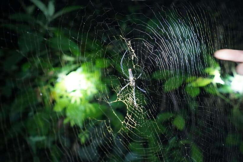 2-Day Ninh Binh - Trang An & Cuc Phuong National Park Tour - Not Included in the Tour