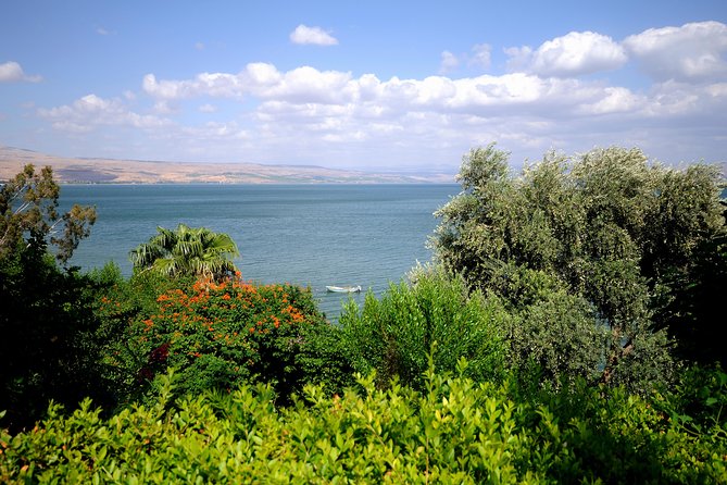 2-Day Northern Israel Tour From Tel Aviv: Golan Heights, Nazareth and the Sea of Galilee - Meeting and Pickup Information