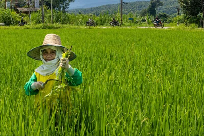 2 day overnight adventure off road scooter tour; Amaz views - An Authentic Look at the Adventure