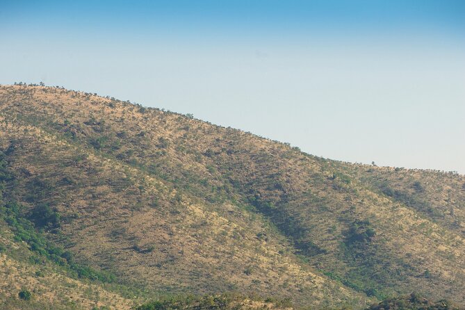 2 Day Pilanesberg Camping Safari - Game Drives and Activities
