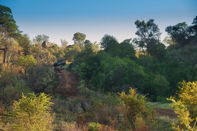 2 Day Pilanesberg Camping Safari - Transportation and Pickup Services