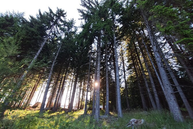 2 Day Private Adventure Tour in Vitosha Mountain From Sofia - Unique Experiences