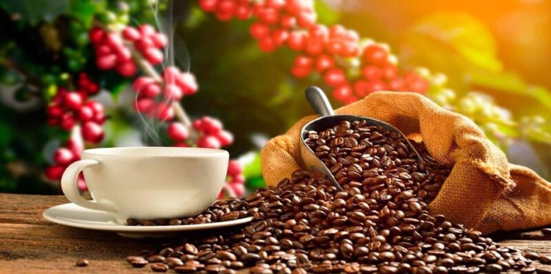 2-Day Private Coffee or Cocoa Tour in Huayopata - Day 1 Highlights