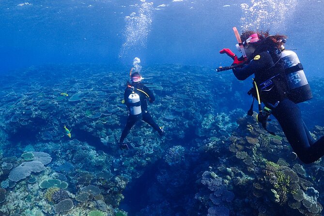 2-Day Private Deluxe Certification Course for Scuba Diving - Diving Equipment Provided