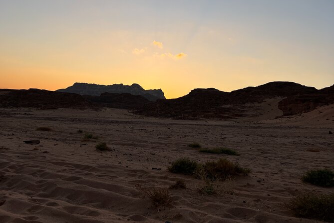 2 Day Private Desert Experience in Sinai - Reviews and Feedback