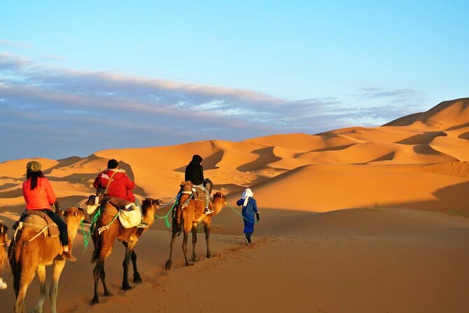 2 Day Private Fez Desert Tour to Merzouga - Inclusions