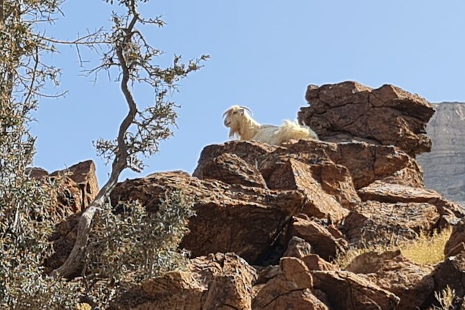 2-Day Private Guided Nizwa and Jebel Akhdar Tour From Muscat - Pricing and Cancellation