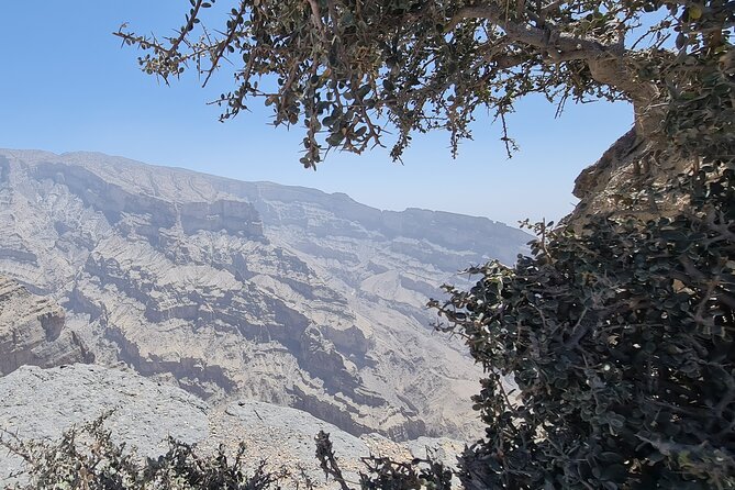 2-Day Private Guided Nizwa and Jebel Akhdar Tour From Muscat - Nizwa Highlights