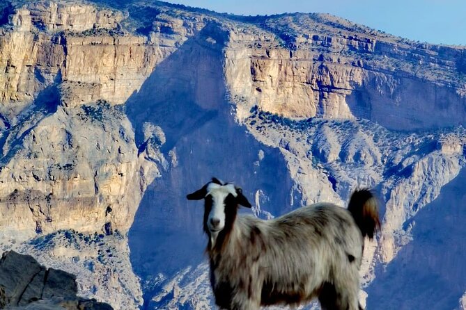 2-Day Private Guided Nizwa and Jebel Akhdar Tour From Muscat - Memorable Experiences