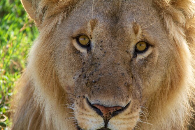 2-Day Private Guided Tour to Tarangire and Ngorongoro - Included Experiences