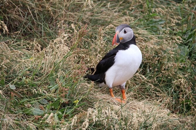 2-Day Private Iceland South Coast and Glacier Lagoon Tour - Enjoying Delectable Meals