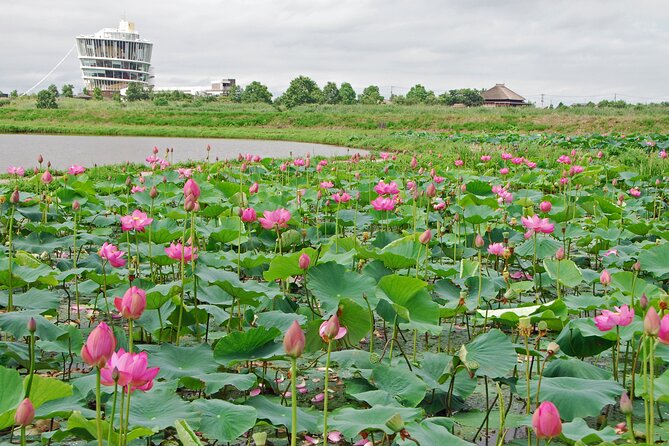 2 Day Private Luxury Tour Through Rural Japan (Fukushimagata) - Health and Accessibility