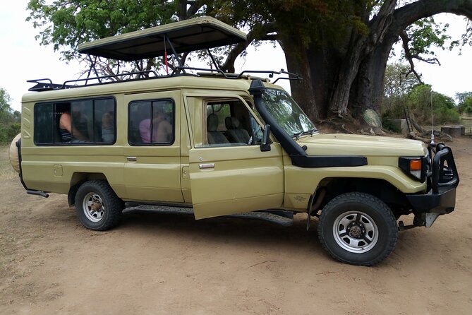 2-Day Private Mikumi National Park Tour With Pickup - Wildlife Sightings and Experiences