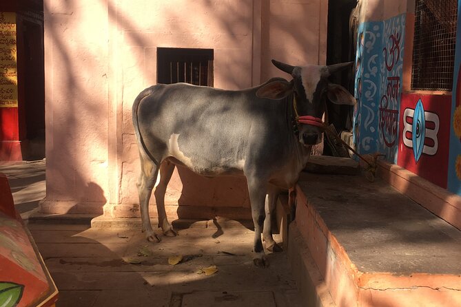 2 Day Private Mystical Varanasi Tour - Mystical Kashi