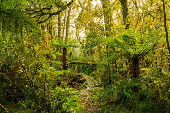 2-day Private Overnight Hurunui River Hot Springs Hike or Bike - Exploring the Journey from Christchurch to the Wilderness