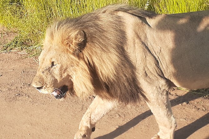 2 Day Private Pilanesberg Guided Tour - Pickup Information