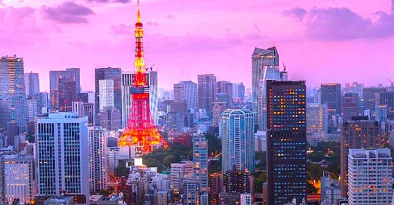 2-Day Private Tokyo MT Fuji and Hakone Tour With Guide - Exploring Mt. Fuji