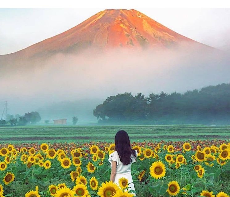 2-Day Private Tokyo MT Fuji and Hakone Tour With Guide - Arakurayama Sengen Park