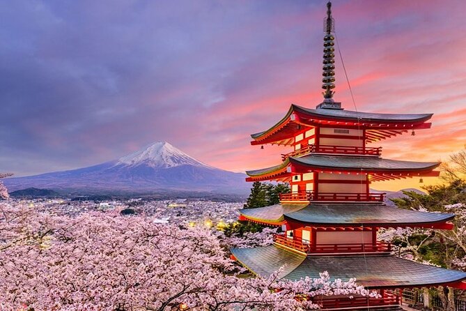 2-Day Private Tokyo MT Fuji Hakone Sightseeing Tour With Guide - Panoramic Ropeway Journey