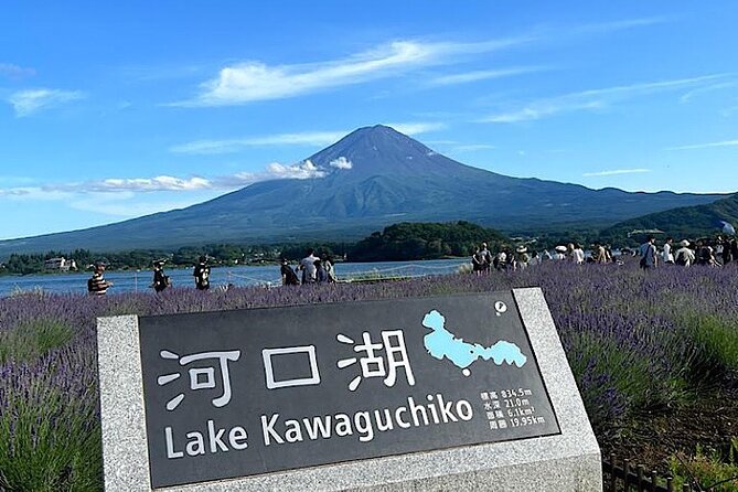 2-Day Private Tokyo MT Fuji Hakone Sightseeing Tour With Guide - Private Transportation Details