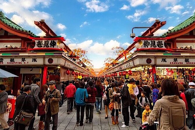 2-Day Private Tokyo MT Fuji Hakone Sightseeing Tour With Guide - Pickup and Dropoff Options