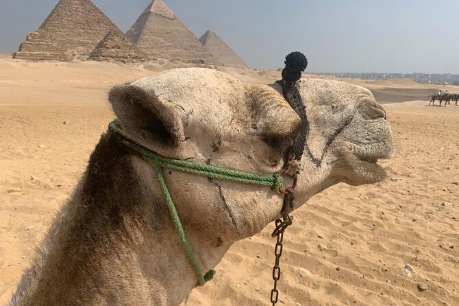 2-Day Private Tour Ancient Egyptian Pyramids Giza and Saqqara - Operated by Ahmed Nady Tours