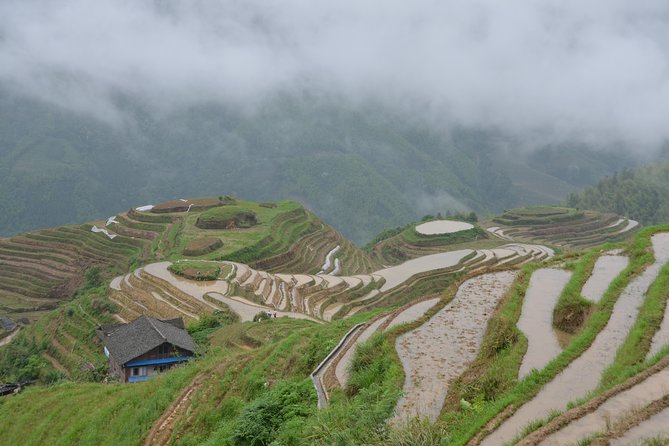 2-Day Private Tour: Classic Li River Cruise and Longji Terrace Tour - Itinerary: Day 2