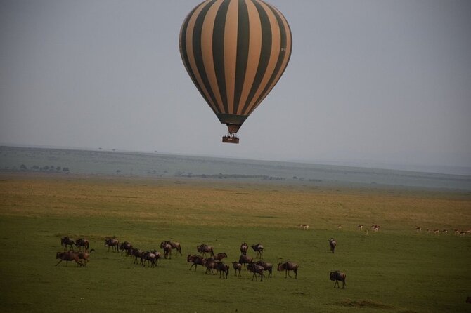 2-Day Private Tour in Masai Mara With Pick up - Meals and Refreshments