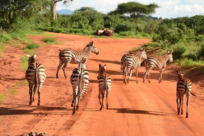 2-Day Private Tour in Tsavo East - Accommodation and Meals