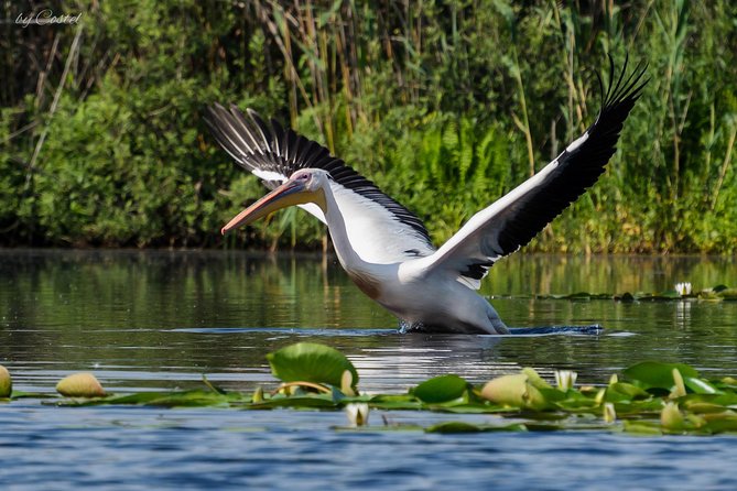 2-Day Private Tour of Danube Delta From Bucharest - Tour Overview