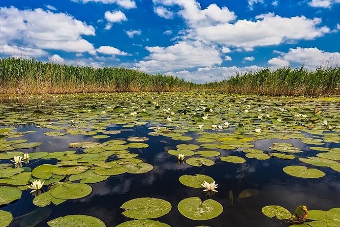 2-Day Private Tour of Danube Delta From Bucharest - Practical Information