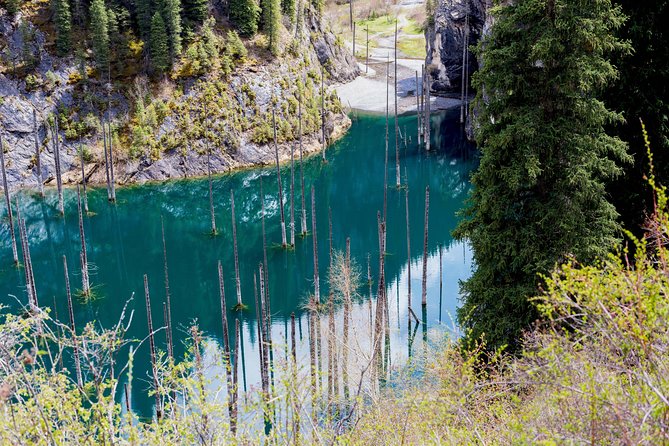 2-Day Private Tour - the Kolsai Lake & Kaindy (Sunken Forest) via Charyn Canyon - Transportation Arrangements