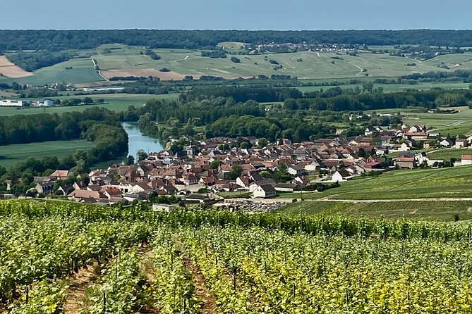 2-Day Private Tour to Champagne & Chablis: Moët Et Chandon Etc, 19 Wines Tasting - Traveler Photos