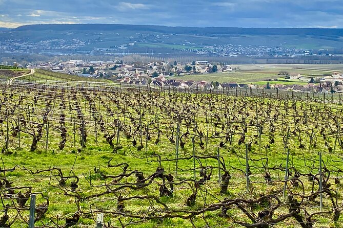 2-Day Private Tour to Champagne & Chablis: Moët Et Chandon Etc, 19 Wines Tasting - Booking Information