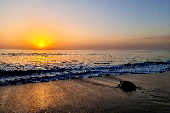 2-day Private Tour to Ras Al Hadd - Reviews