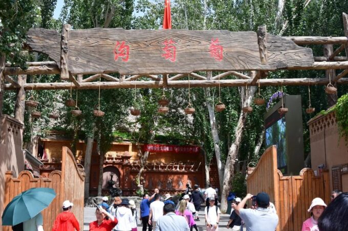 2-Day Private Tour to Turpan From Urumqi:In-Depth Experience - Inclusions and Accommodations