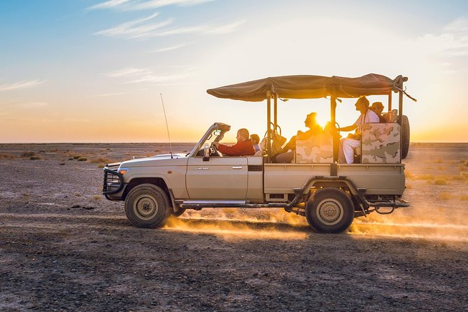 2-Day Private Tours in Jordan: Petra, Wadi Rum, and Dead Sea From Amman - Customer Reviews